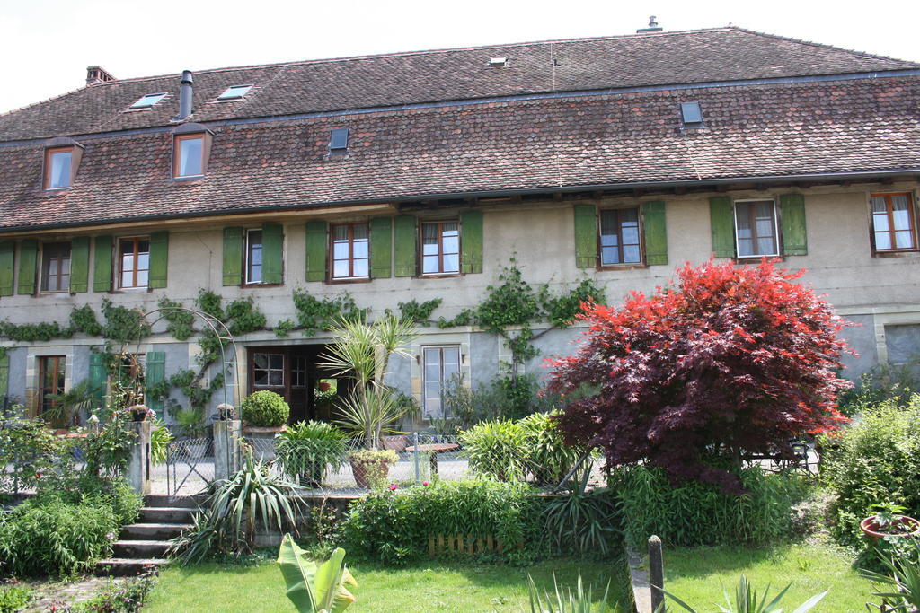 Ofenhaus Villa Murten Room photo