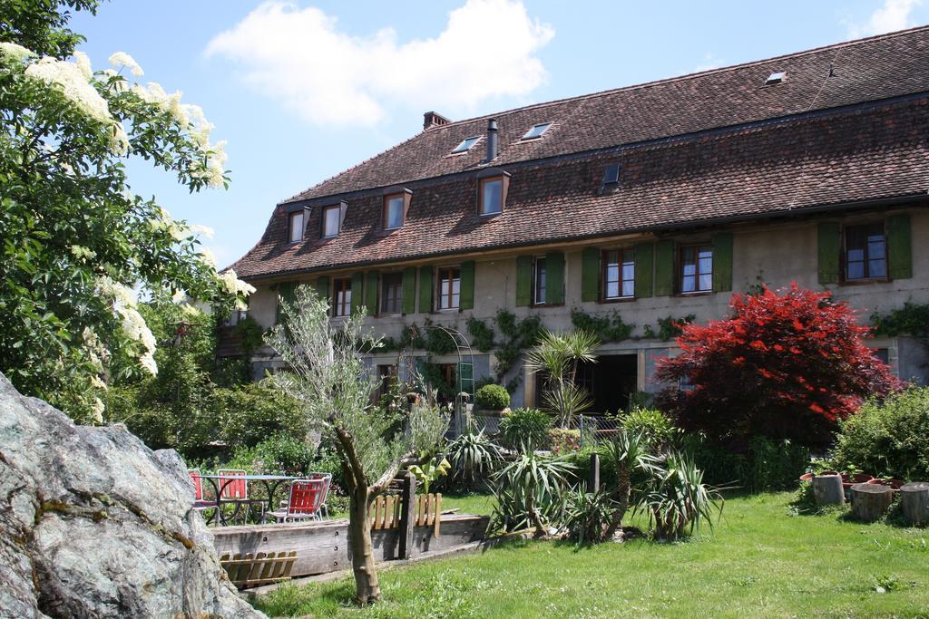 Ofenhaus Villa Murten Exterior photo